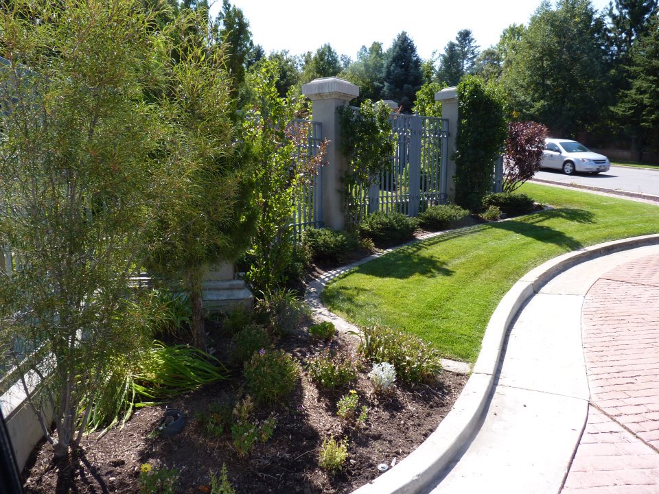 Professional landscaping work